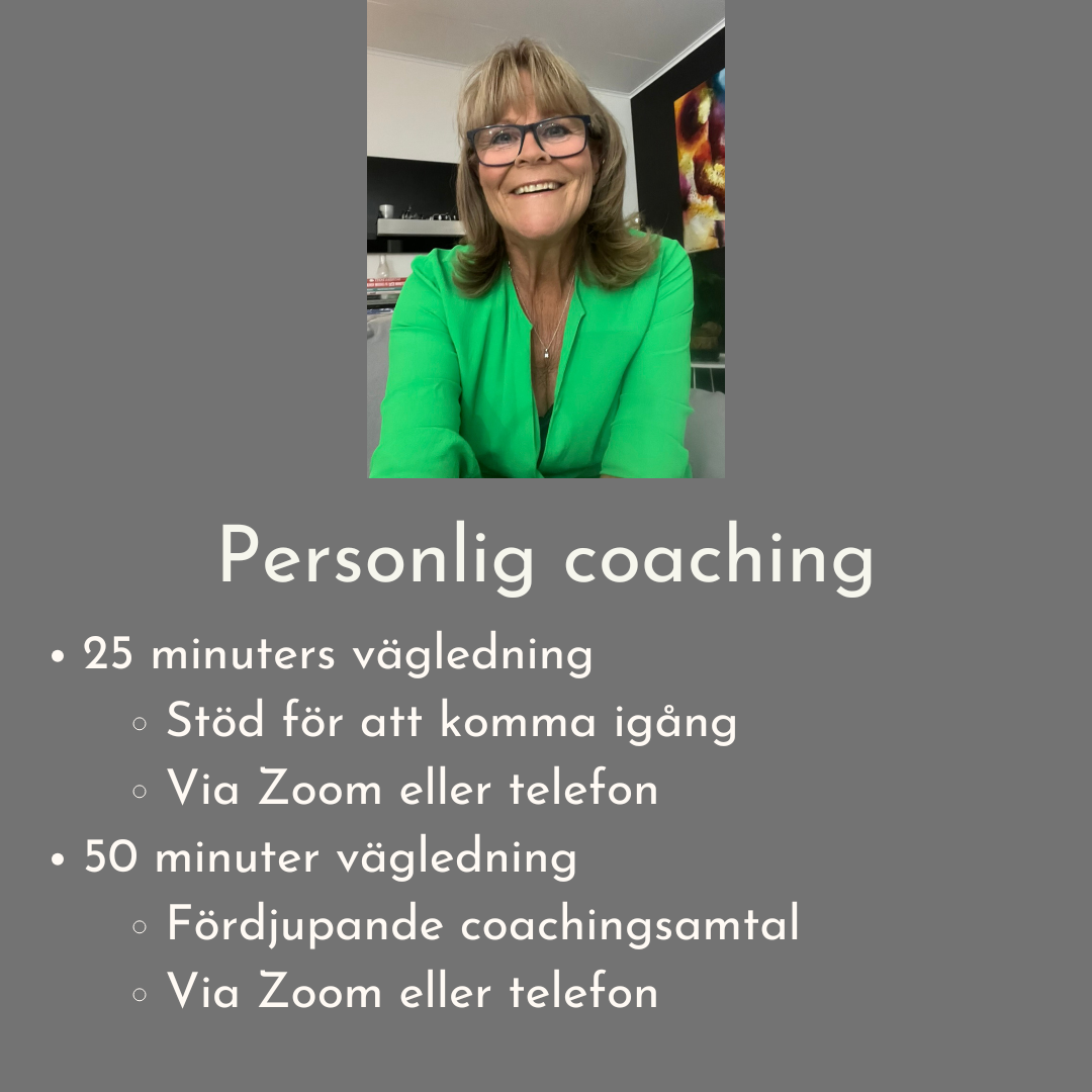 Personligt coachingsamtal