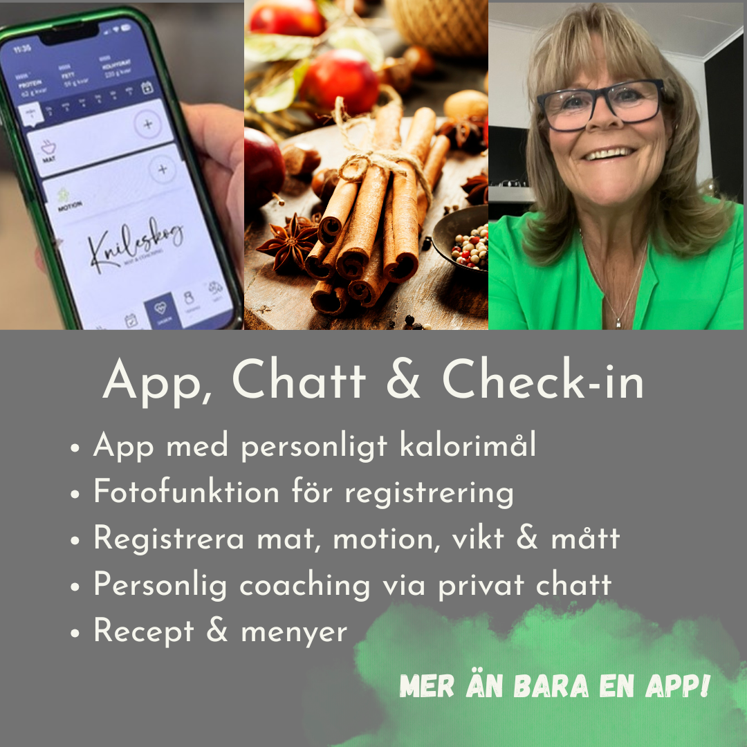 App, Chatt & Check-in